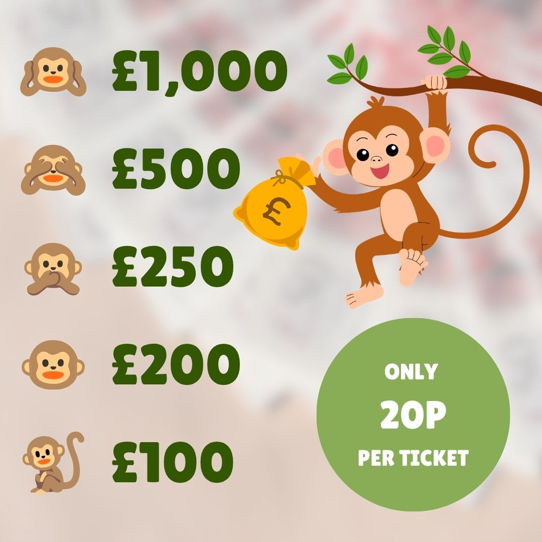 Catch the Monkey, Win the Money